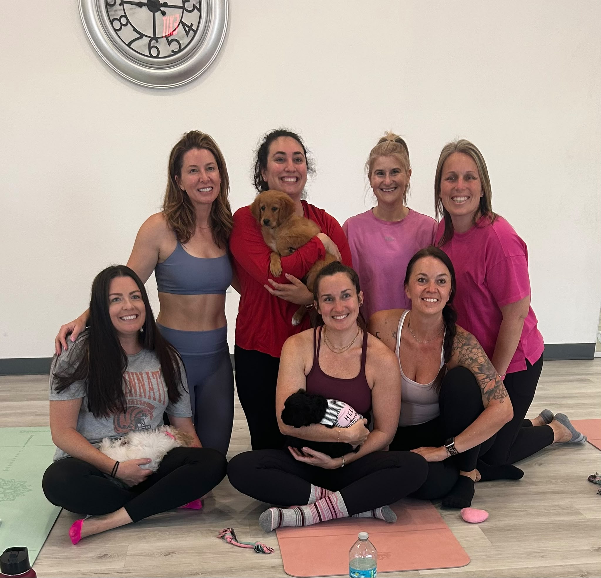 Studio group class with puppies at Pawsitively Pilates