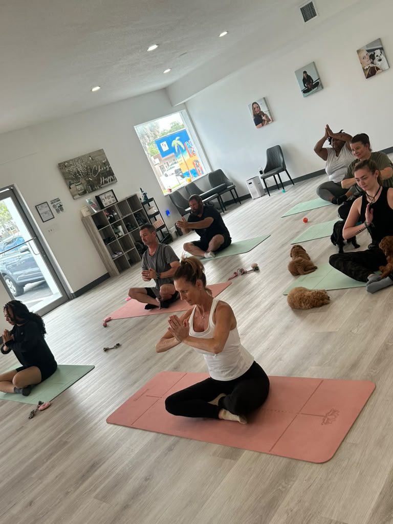 Guests seated on mats with puppies during a Pawsitively Pilates class