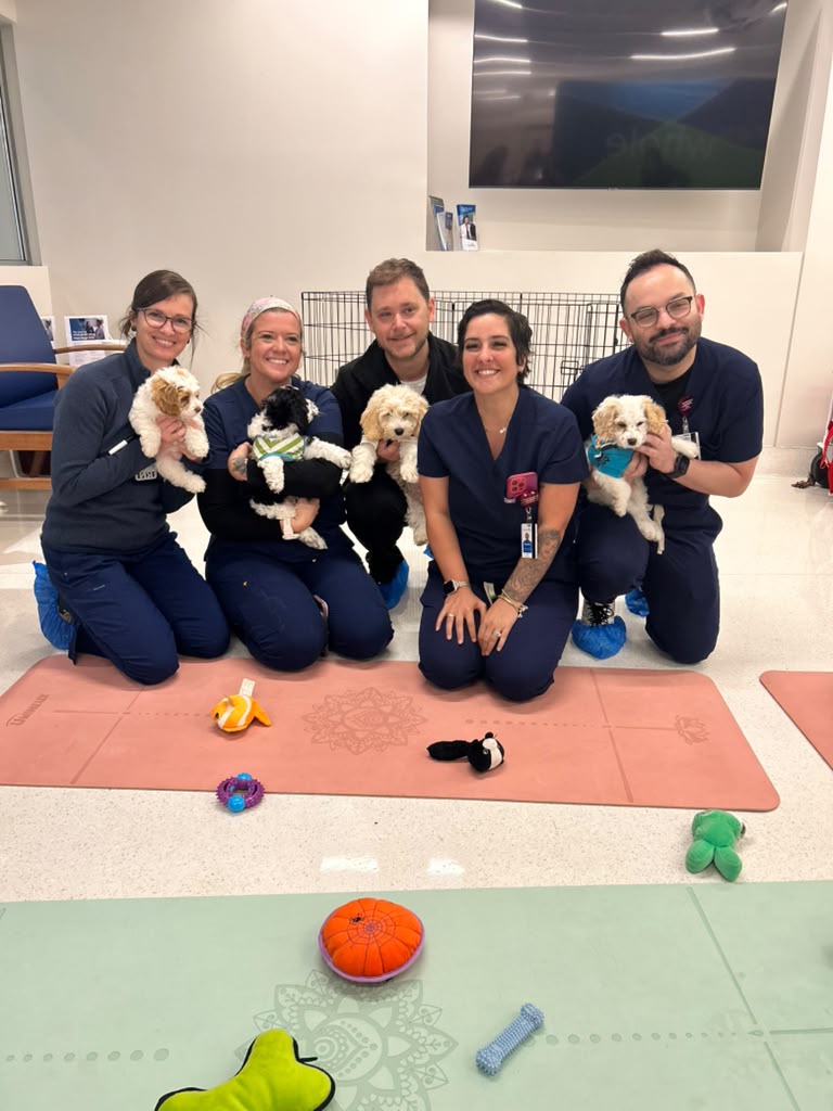 Hospital staff kneeling with puppies during a local hospital visit