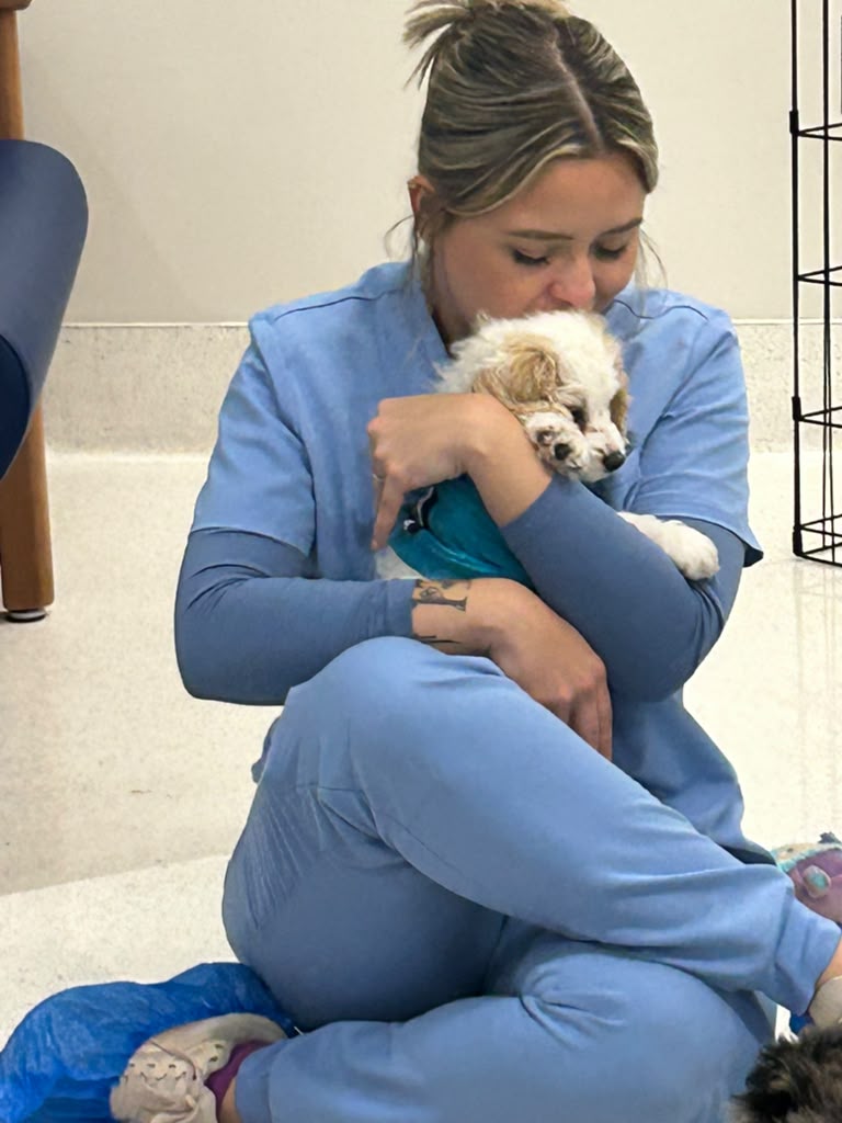 Nurse cuddling a puppy during a local hospital visit