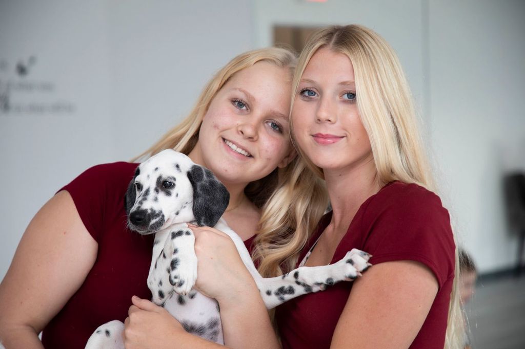 Two women with Dalmatian puppies