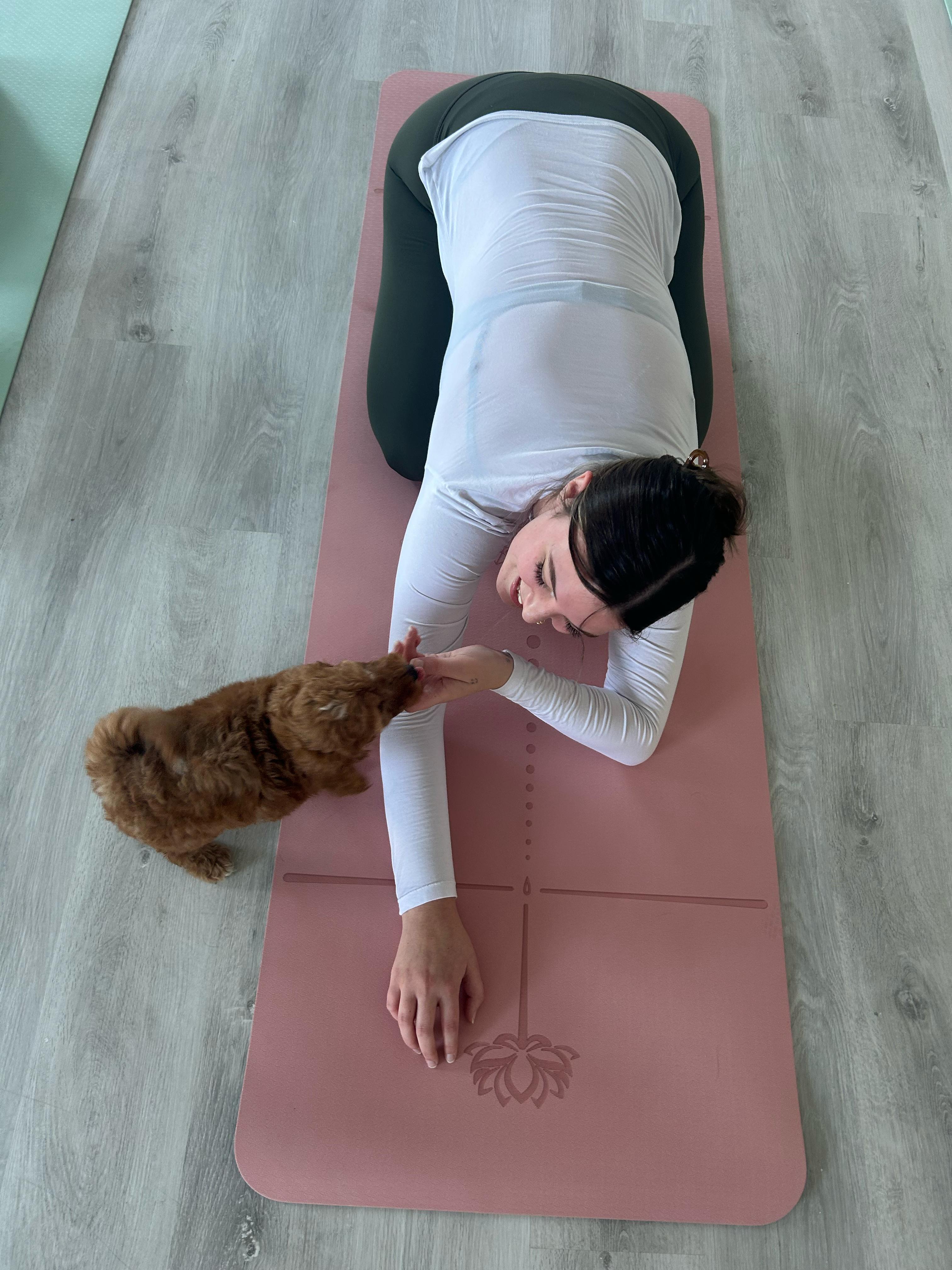 Overhead view of woman doing pilates with Poodle puppy